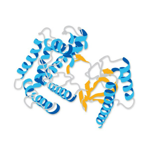 Protein Extraction